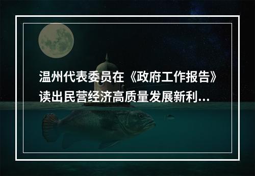 温州代表委员在《政府工作报告》读出民营经济高质量发展新利好