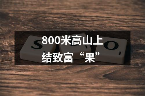 800米高山上结致富“果”