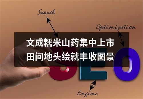 文成糯米山药集中上市 田间地头绘就丰收图景