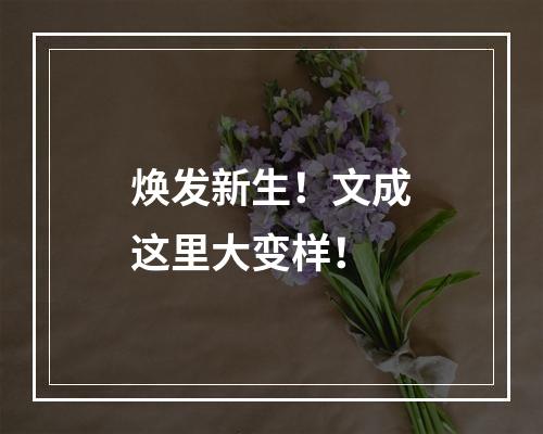 焕发新生！文成这里大变样！