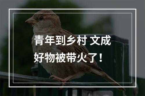青年到乡村 文成好物被带火了！