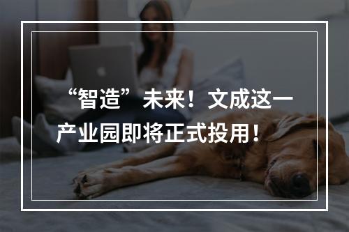 “智造”未来！文成这一产业园即将正式投用！
