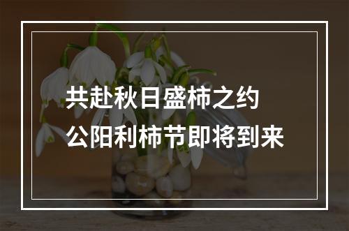 共赴秋日盛柿之约 公阳利柿节即将到来