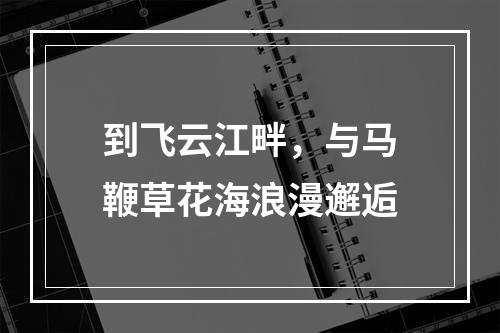 到飞云江畔，与马鞭草花海浪漫邂逅