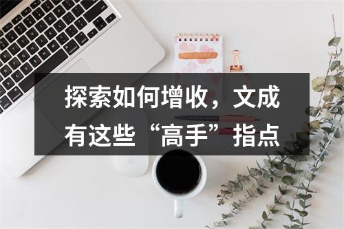 探索如何增收，文成有这些“高手”指点