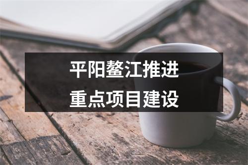 平阳鳌江推进重点项目建设