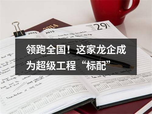 领跑全国！这家龙企成为超级工程“标配”
