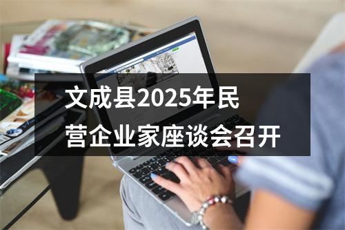 文成县2025年民营企业家座谈会召开