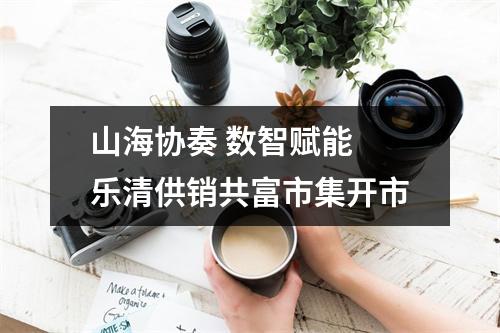 山海协奏 数智赋能 乐清供销共富市集开市