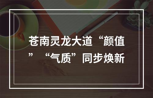苍南灵龙大道“颜值”“气质”同步焕新