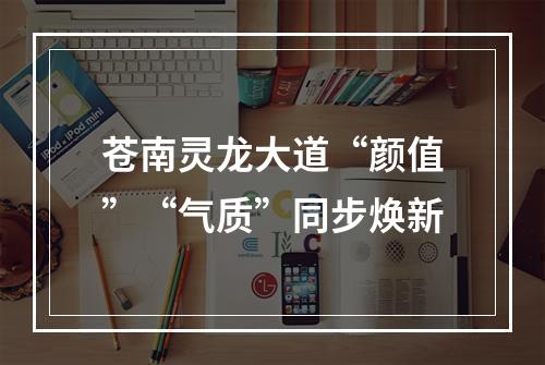 苍南灵龙大道“颜值”“气质”同步焕新