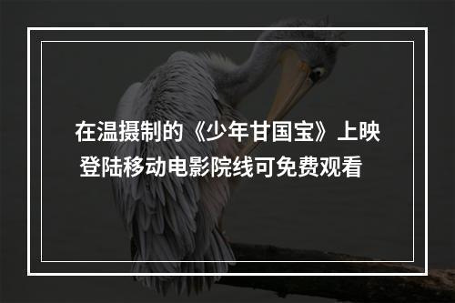 在温摄制的《少年甘国宝》上映 登陆移动电影院线可免费观看