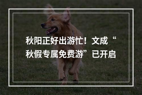 秋阳正好出游忙！文成“秋假专属免费游”已开启