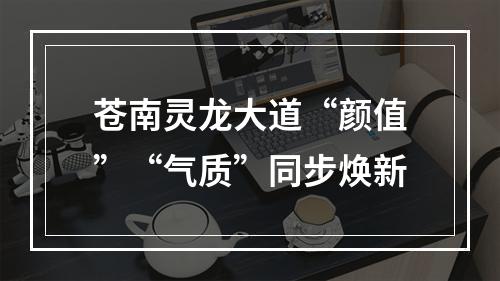 苍南灵龙大道“颜值”“气质”同步焕新