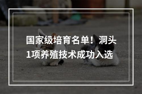 国家级培育名单！洞头1项养殖技术成功入选