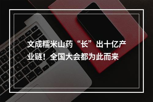 文成糯米山药“长”出十亿产业链！全国大会都为此而来