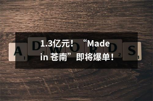 1.3亿元！“Made in 苍南”即将爆单！