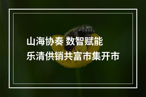 山海协奏 数智赋能 乐清供销共富市集开市