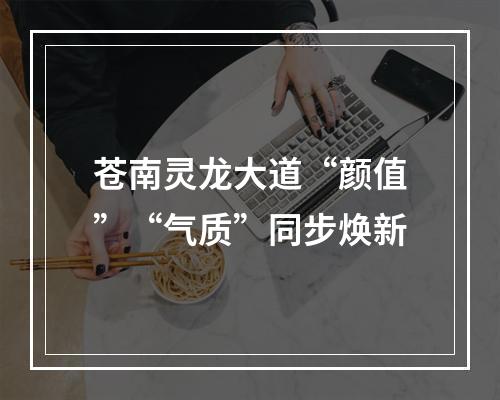 苍南灵龙大道“颜值”“气质”同步焕新