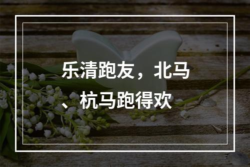乐清跑友，北马、杭马跑得欢