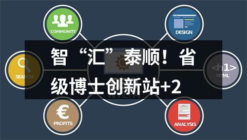 智“汇”泰顺！省级博士创新站+2