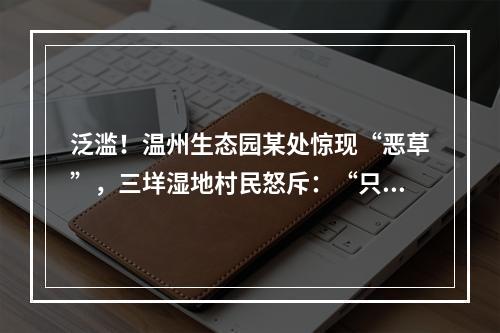 泛滥！温州生态园某处惊现“恶草”，三垟湿地村民怒斥：“只知道搞钱”