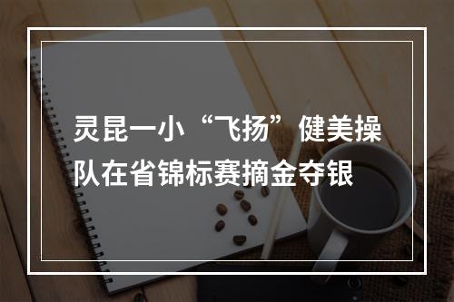 灵昆一小“飞扬”健美操队在省锦标赛摘金夺银