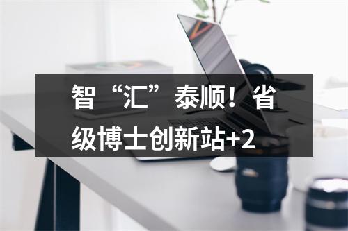 智“汇”泰顺！省级博士创新站+2