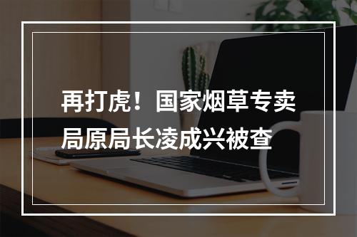 再打虎！国家烟草专卖局原局长凌成兴被查