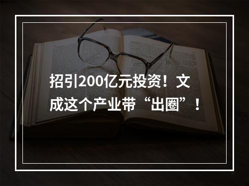 招引200亿元投资！文成这个产业带“出圈”！