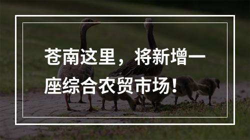 苍南这里，将新增一座综合农贸市场！