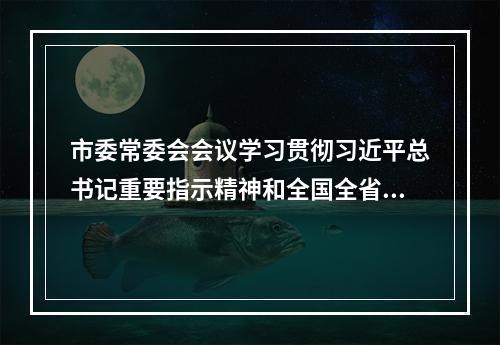 市委常委会会议学习贯彻习近平总书记重要指示精神和全国全省安全生产电视电话会议精神