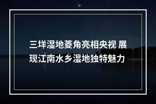 三垟湿地菱角亮相央视 展现江南水乡湿地独特魅力