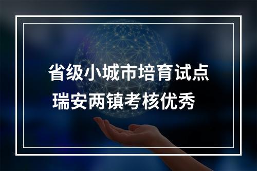 省级小城市培育试点 瑞安两镇考核优秀