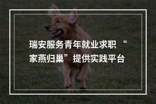 瑞安服务青年就业求职 “家燕归巢”提供实践平台