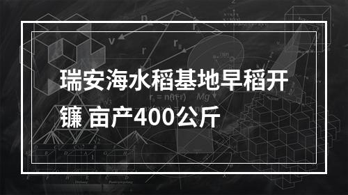 瑞安海水稻基地早稻开镰 亩产400公斤