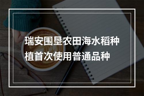 瑞安围垦农田海水稻种植首次使用普通品种