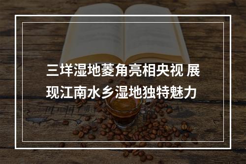 三垟湿地菱角亮相央视 展现江南水乡湿地独特魅力