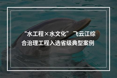 “水工程×水文化” 飞云江综合治理工程入选省级典型案例