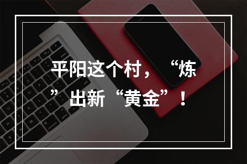 平阳这个村，“炼”出新“黄金”！