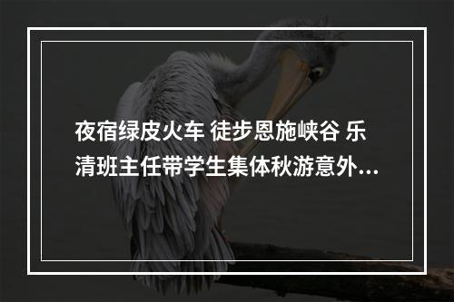夜宿绿皮火车 徒步恩施峡谷 乐清班主任带学生集体秋游意外走红