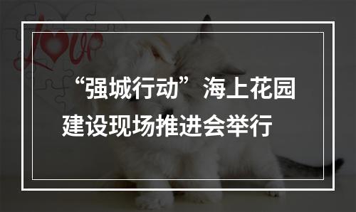 “强城行动”海上花园建设现场推进会举行