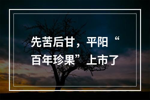 先苦后甘，平阳“百年珍果”上市了