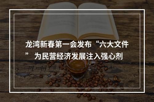 龙湾新春第一会发布“六大文件” 为民营经济发展注入强心剂