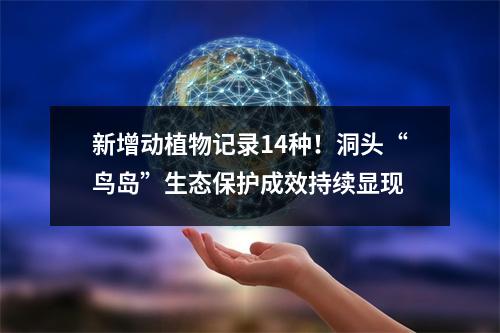 新增动植物记录14种！洞头“鸟岛”生态保护成效持续显现