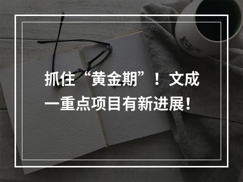 抓住“黄金期”！文成一重点项目有新进展！