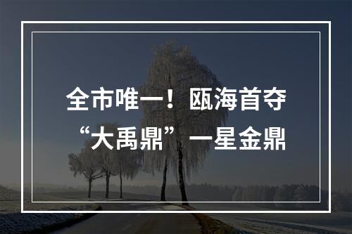 全市唯一！瓯海首夺“大禹鼎”一星金鼎