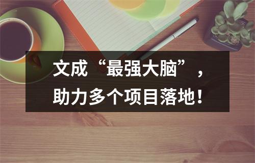 文成“最强大脑”，助力多个项目落地！