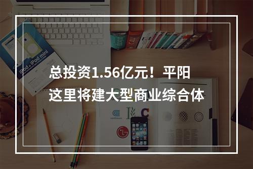 总投资1.56亿元！平阳这里将建大型商业综合体