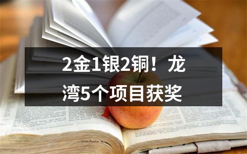 2金1银2铜！龙湾5个项目获奖